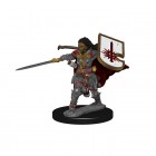Миниатюры для Pathfinder Deep Cuts: Human Female Paladin Миниатюры для Pathfinder Deep Cuts: Human Female Paladin