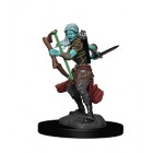 Миниатюры для D&D Nolzur`s Marvelous: Air Genasi Female Rogue Миниатюры для D&D Nolzur`s Marvelous: Air Genasi Female Rogue
