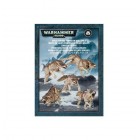 Space Wolves Fenrisian Wolf Pack / Фенризианская стая Космоволков Space Wolves Fenrisian Wolf Pack / Фенризианская стая Космоволков