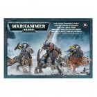 Space Wolves Thunderwolf Cavalry / Наездники на Волках Грома Space Wolves Thunderwolf Cavalry / Наездники на Волках Грома