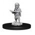 Миниатюры для Pathfinder Deep Cuts: Male Gnome Sorcerer