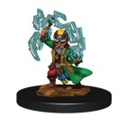 Миниатюры для Pathfinder Deep Cuts: Male Gnome Sorcerer