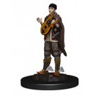 Миниатюры для D&D Nolzur`s Marvelous: Female Half Elf Bard Миниатюры для D&D Nolzur`s Marvelous: Female Half Elf Bard