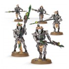 Necron Triarch Praetorians / Lychguard Necron Triarch Praetorians / Lychguard