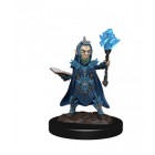 Миниатюры для Pathfinder Deep Cuts: Evil Wizards Миниатюры для Pathfinder Deep Cuts: Evil Wizards