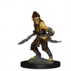 Миниатюры для D&D Nolzur`s Marvelous: Githyanki Миниатюры для D&D Nolzur`s Marvelous: Githyanki