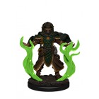 Миниатюры для D&D Nolzur`s Marvelous: Human Male Druid Миниатюры для D&D Nolzur`s Marvelous: Human Male Druid