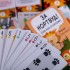 настольная игра За Нортвуд!