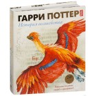 книга Гарри Поттер. История волшебства книга Гарри Поттер. История волшебства