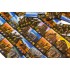 настольная игра Цивилизация Сида Мейера / Civilisation (новая версия)